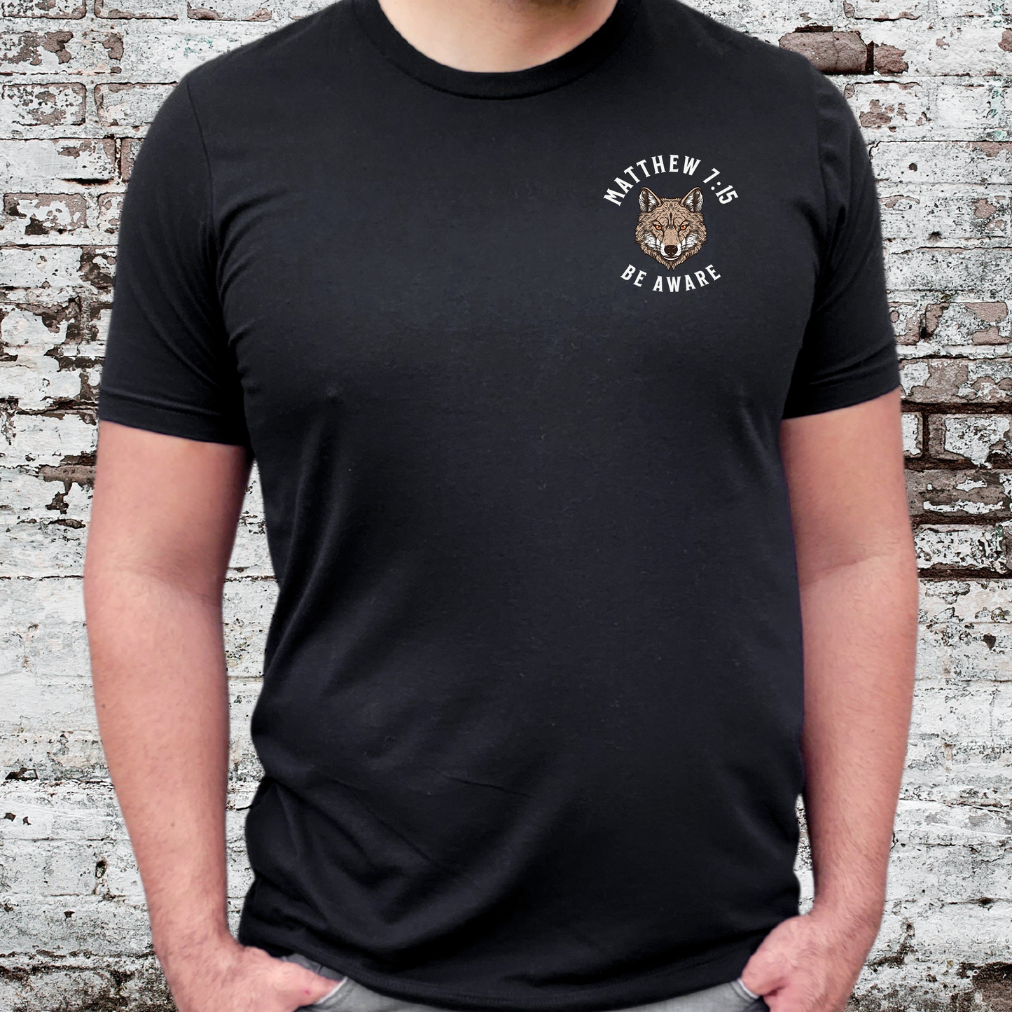 Be Aware of False Prophets