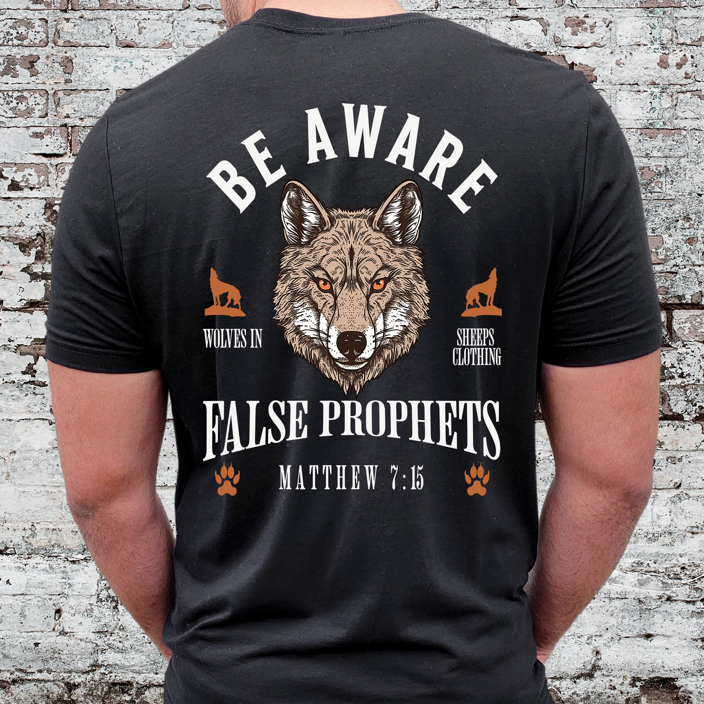 Be Aware of False Prophets