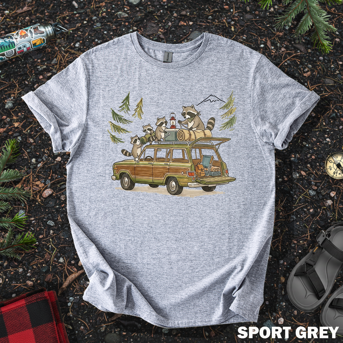 Raccoon Family Camping Trip