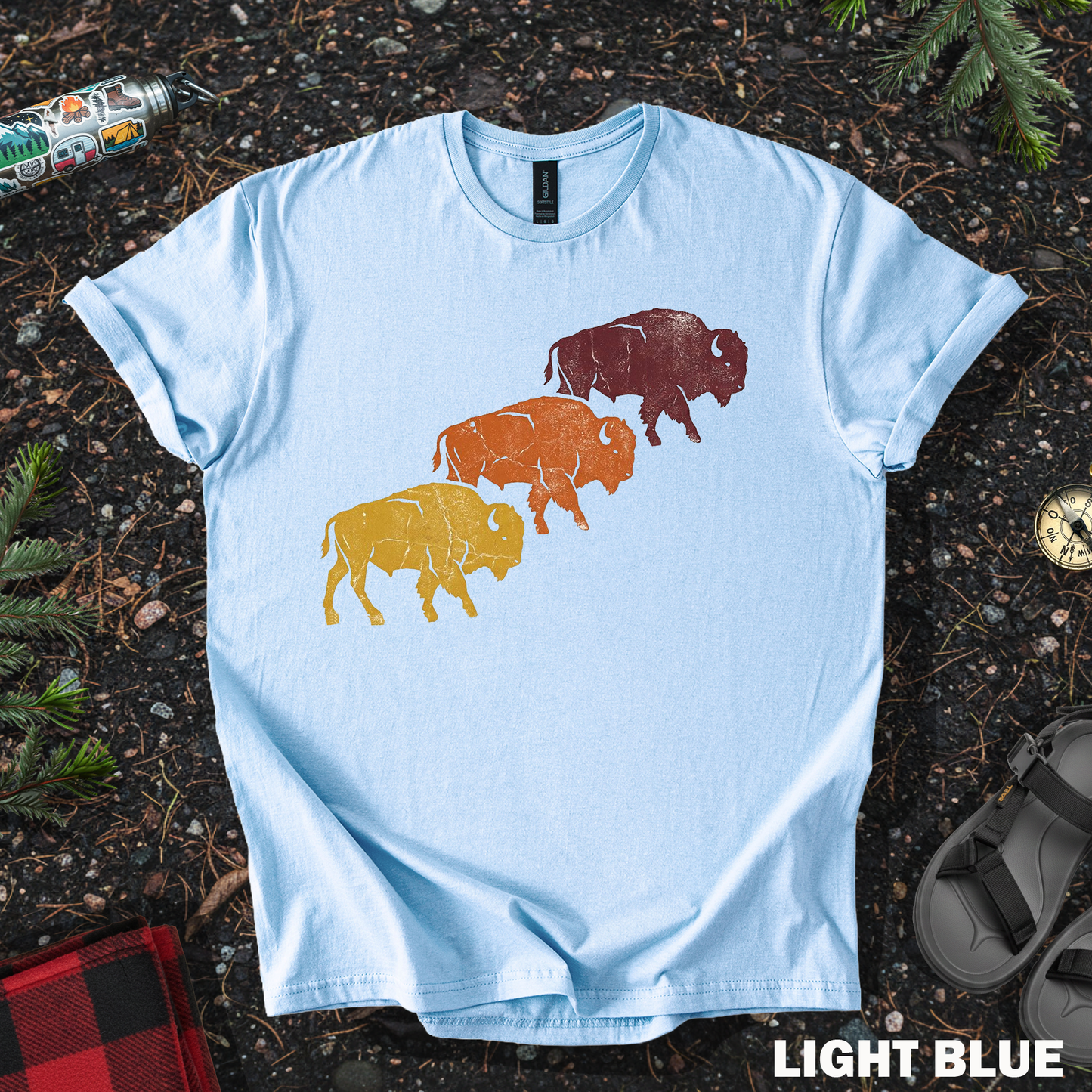 Bison Sunset Colors