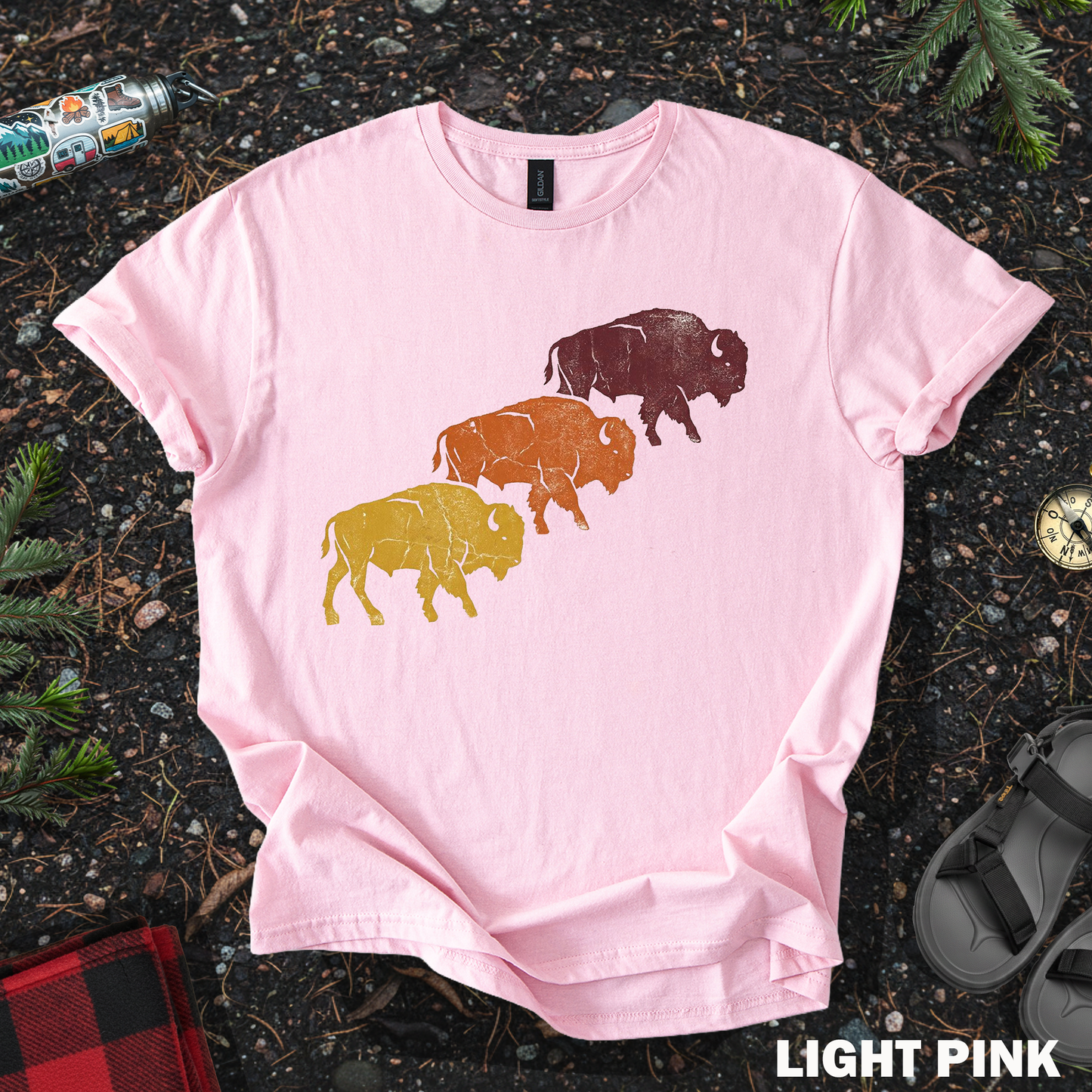 Bison Sunset Colors