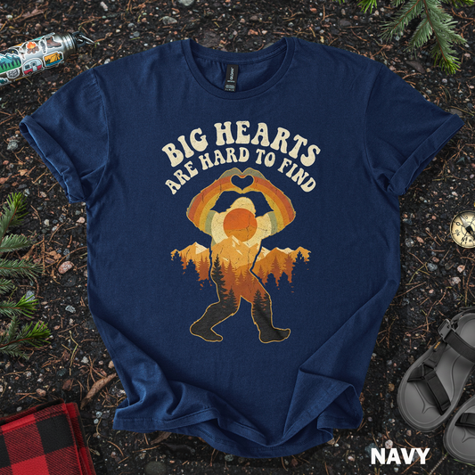 Big Hearts Hard to Find