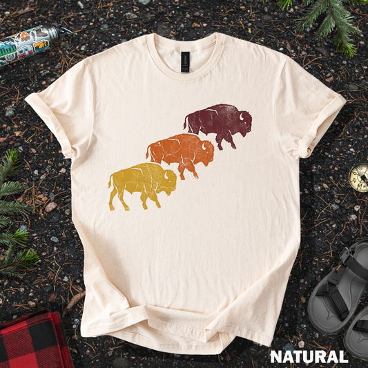 Bison Sunset Colors