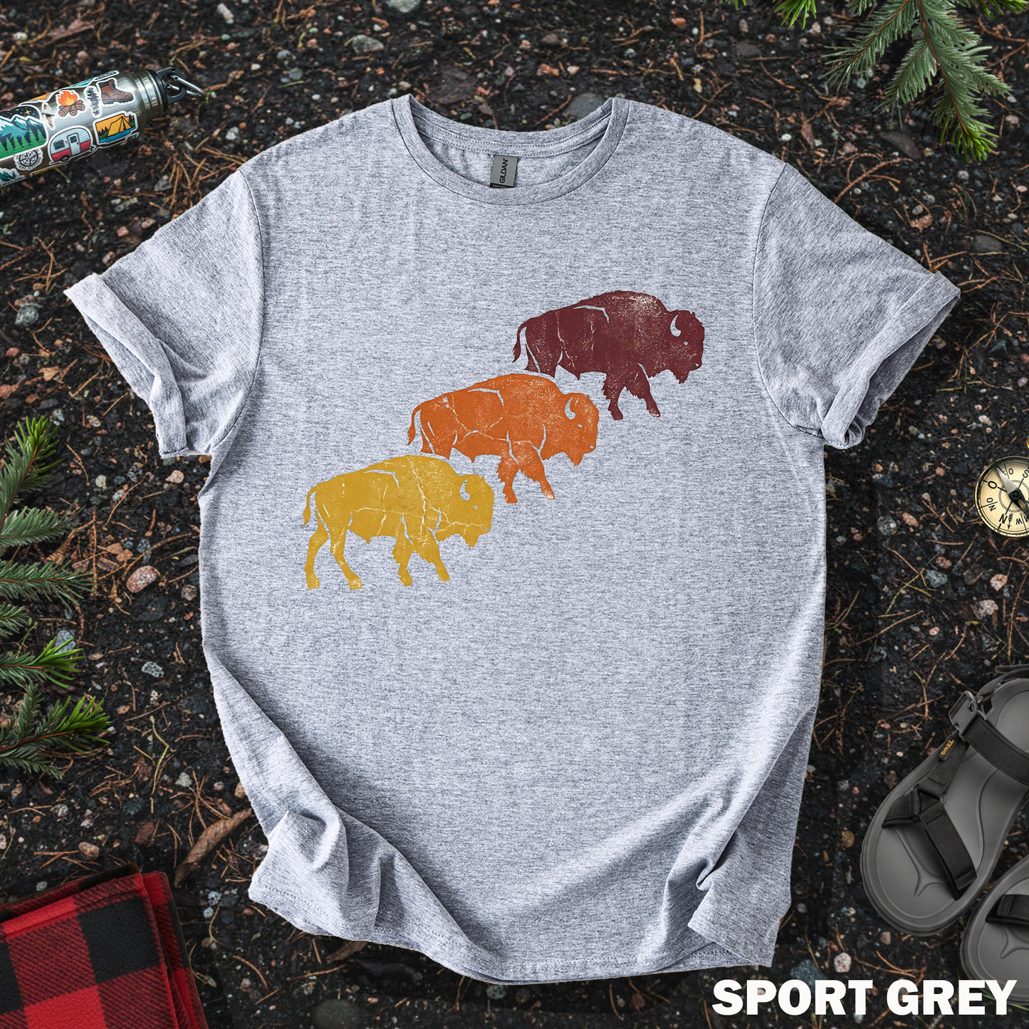Bison Sunset Colors