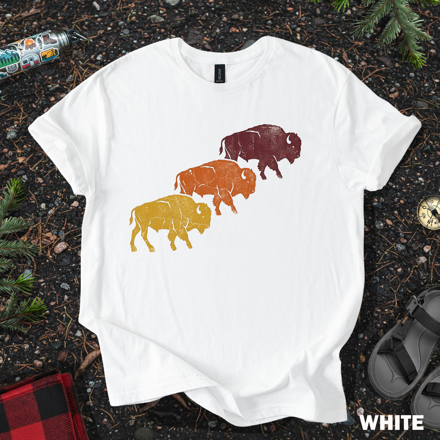 Bison Sunset Colors