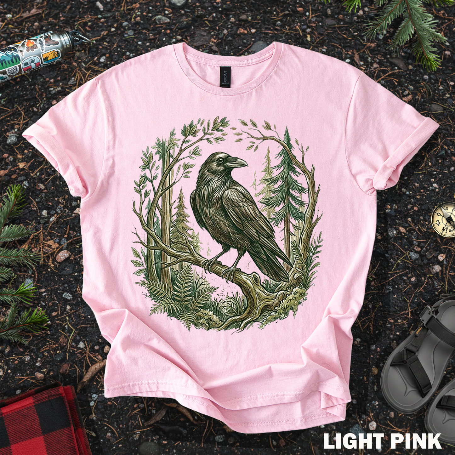 Pine Forest Raven