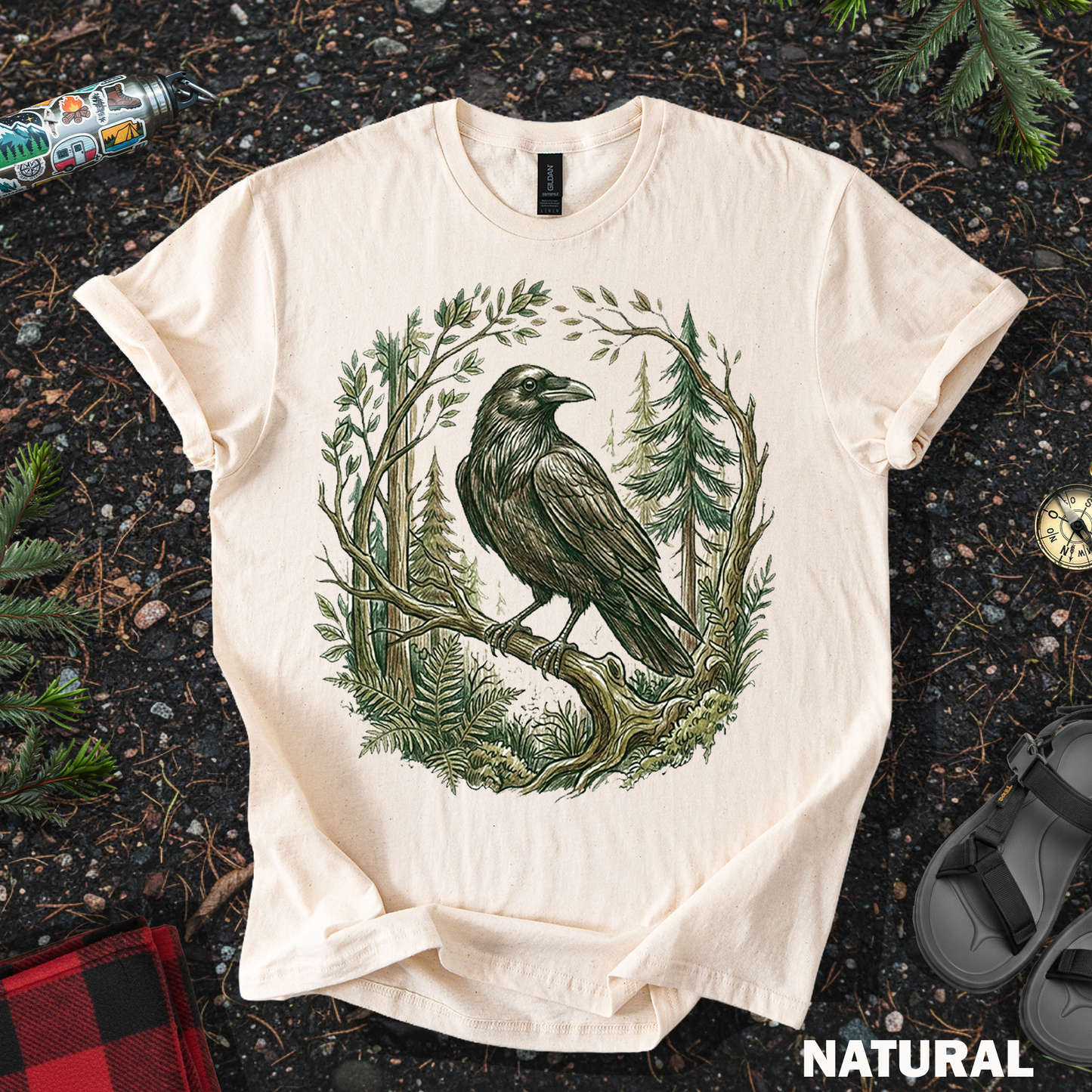 Pine Forest Raven