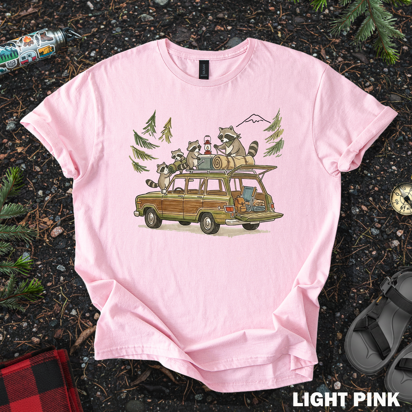 Raccoon Family Camping Trip